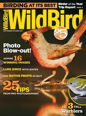 Wildbird